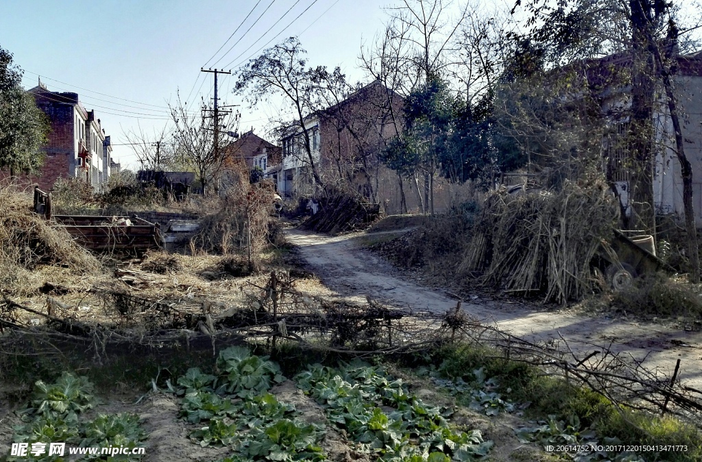 乡村街道