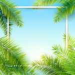 夏日海滩