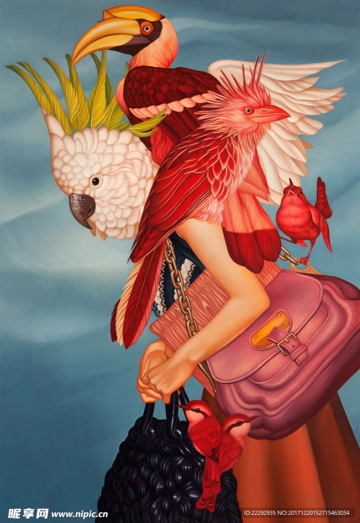鸟与人 插画艺术