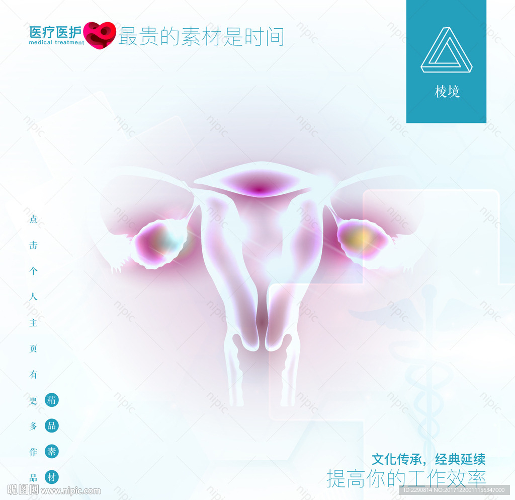 子宫 女性 阴道 妇科 女人