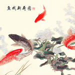 鲤鱼国画