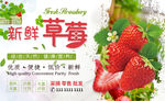清新草莓宣传海报