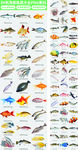 84张各种鱼类PNG免扣素材