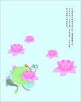 鱼 荷花