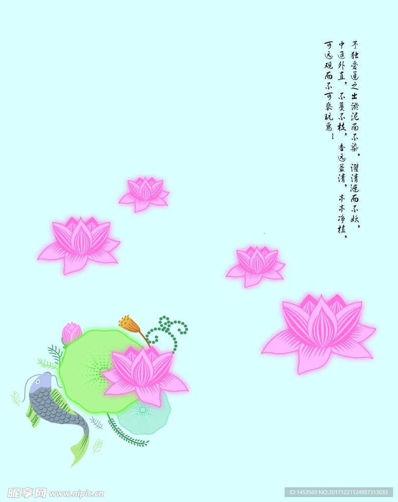 鱼 荷花