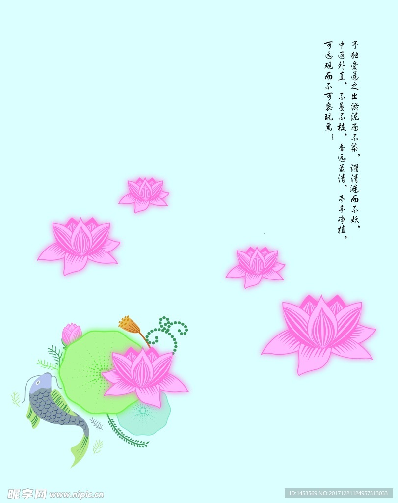 鱼 荷花