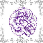 玫瑰花矢量