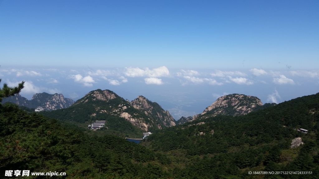 黄色美景