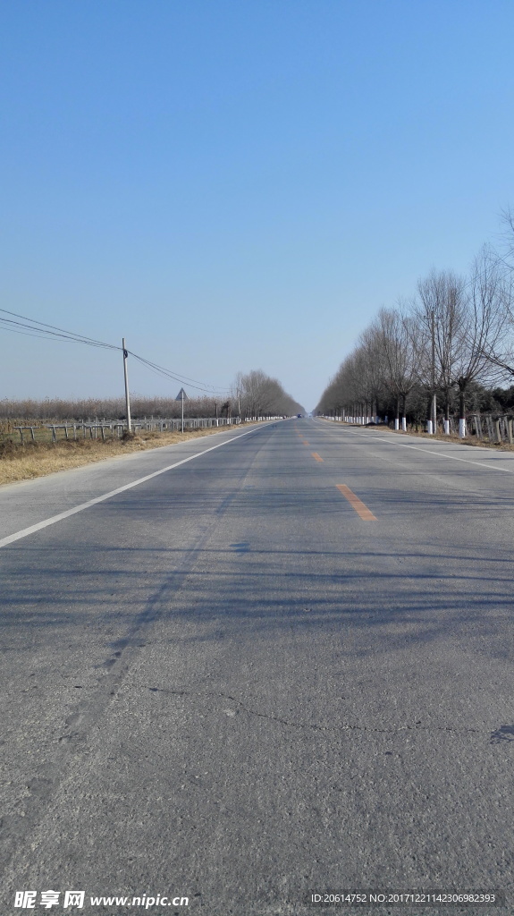 乡村道路风景