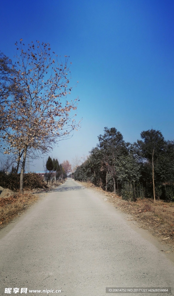 醉人的美丽乡村风景