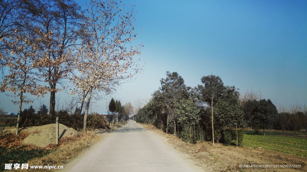 美丽的乡村风景