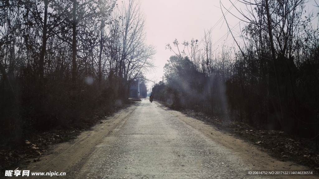 日暮下的乡村道路风景