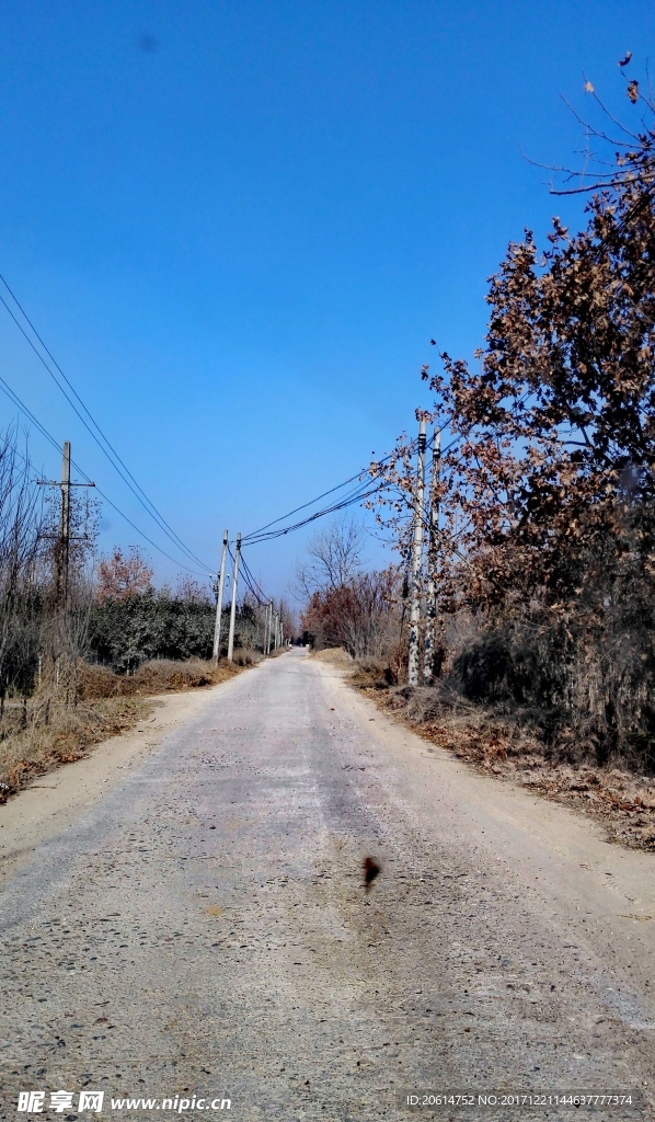 乡村道路风景