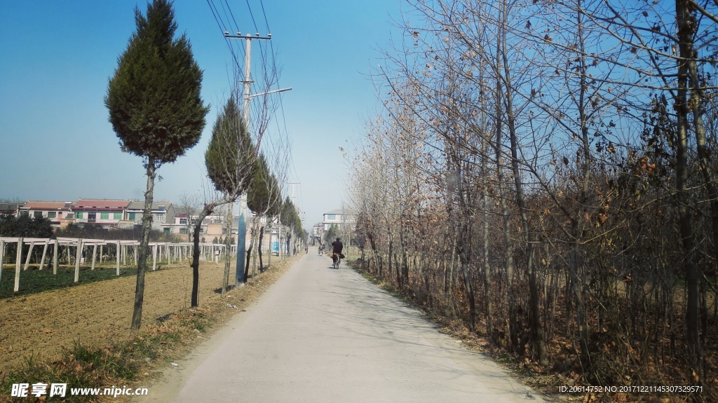 乡村道路风景