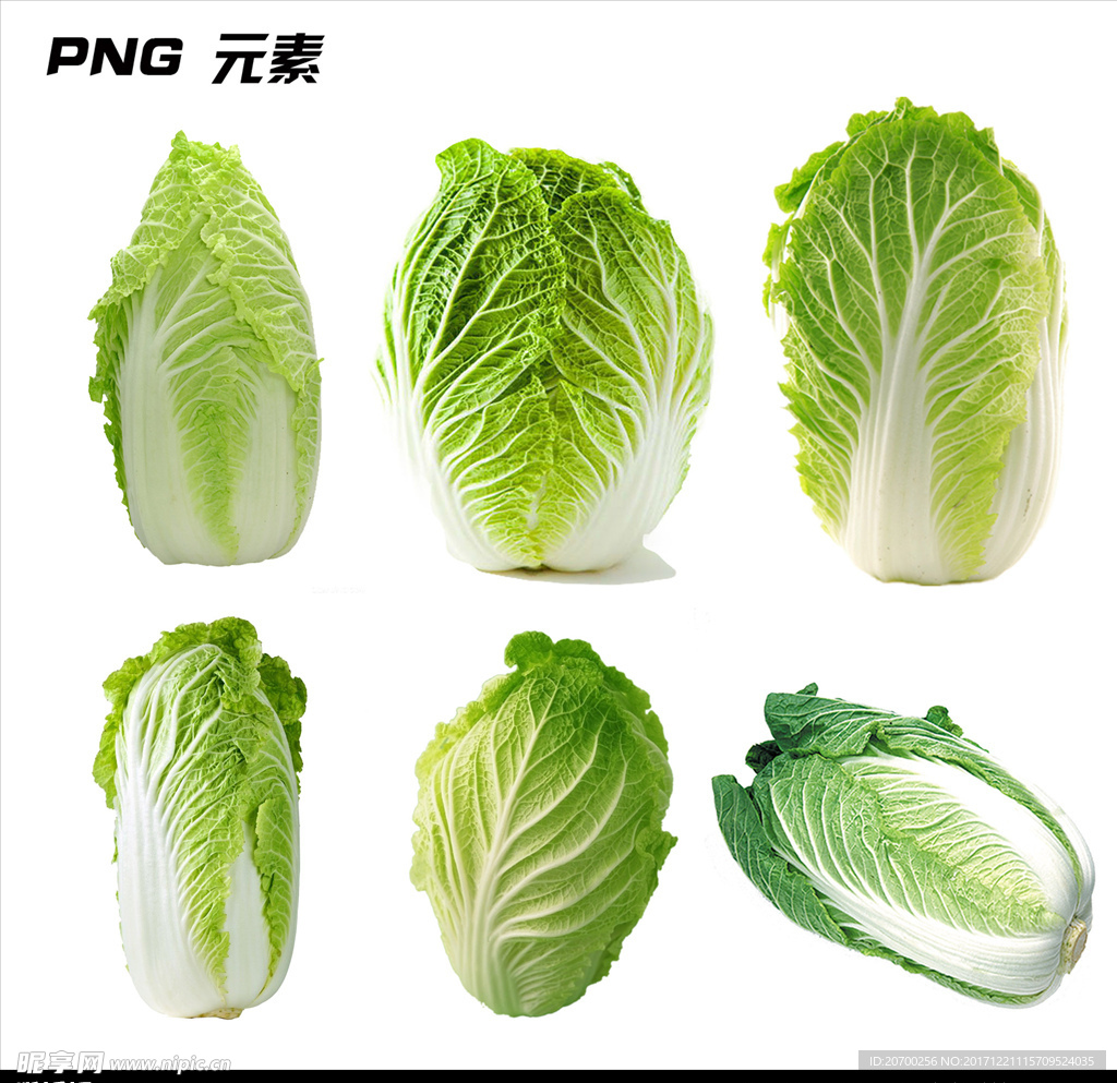 白菜免扣元素