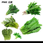 菠菜免扣素材