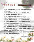 古琴