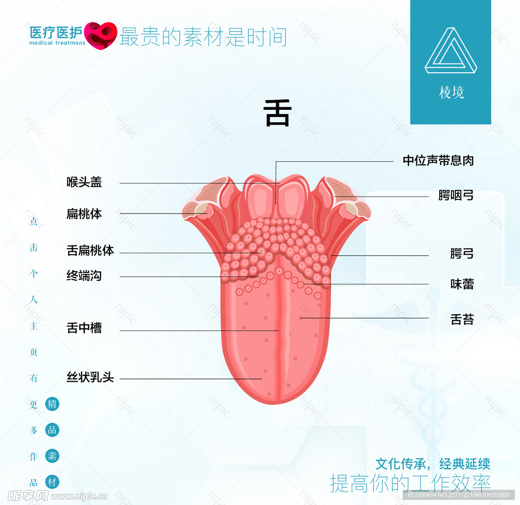 舌头根部有疙瘩图片_舌头根部有疙瘩是舌癌吗_微信公众号文章