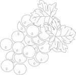 葡萄矢量素材