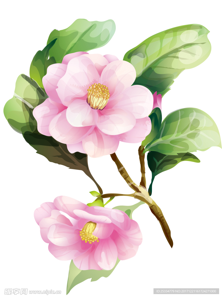 粉红色的花