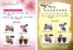 生化汤热药说明书
