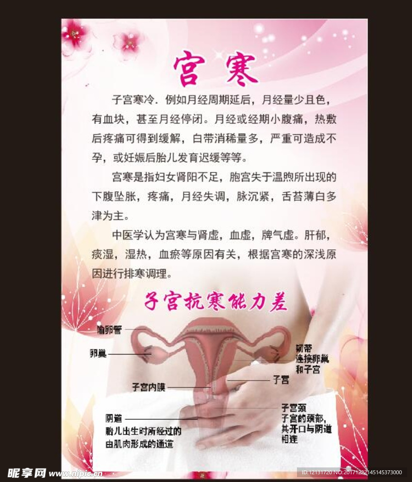 子宫抗寒
