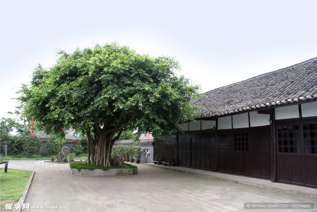 故居后院