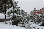 下雪风景