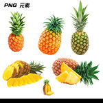 菠萝免扣素材