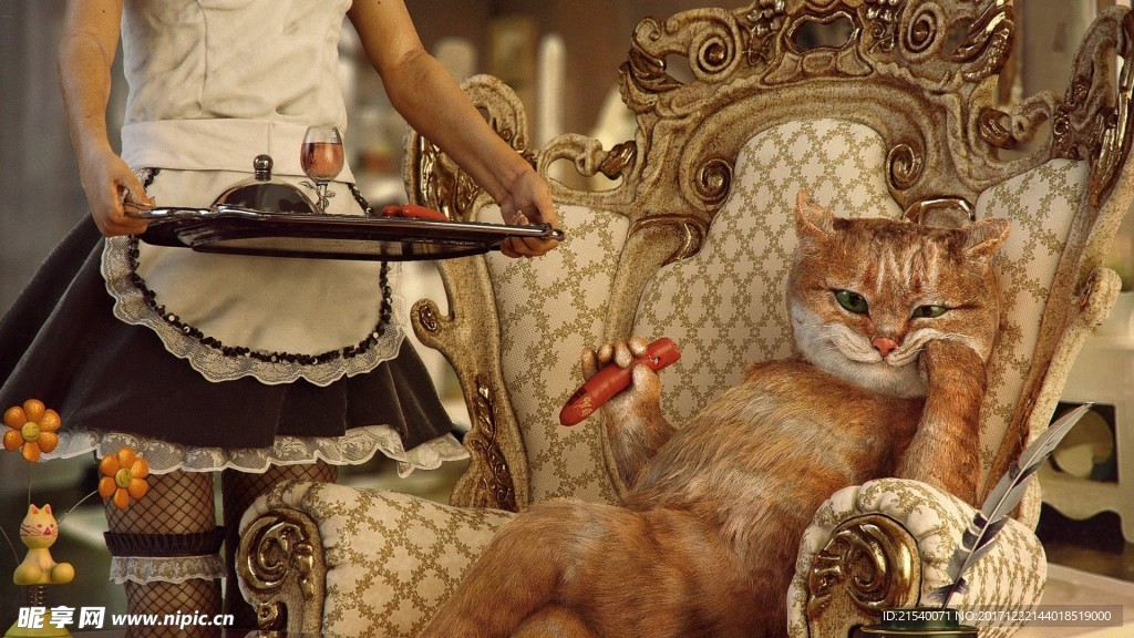 猫咪