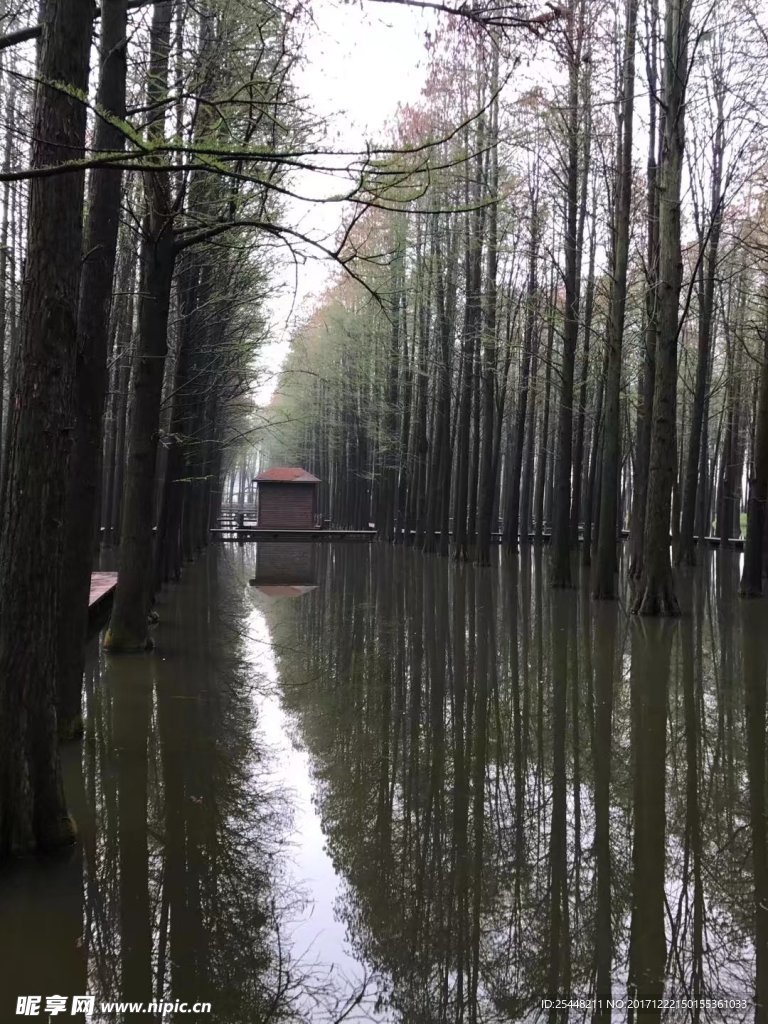 湿地公园