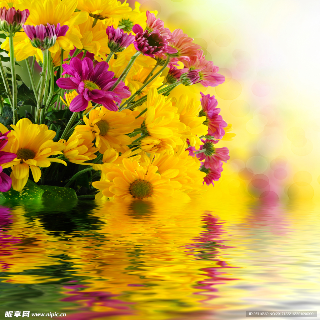 艺术花卉背景