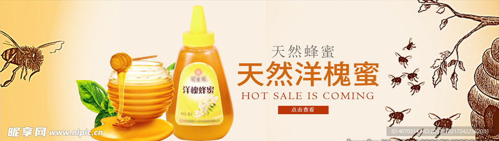 日常素雅茶叶促销