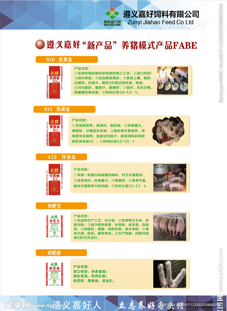 DM单页设计