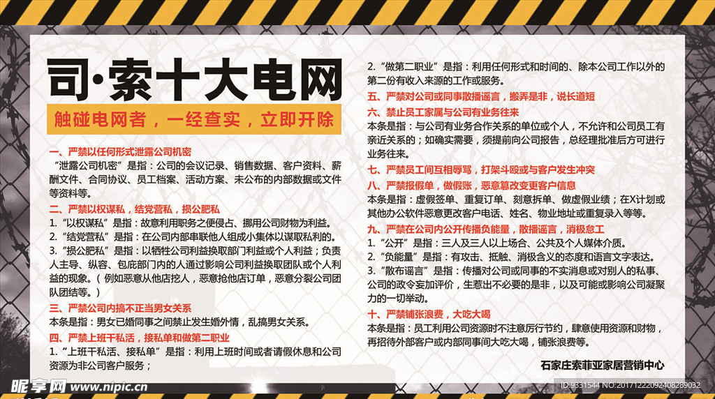 十大电网-公司禁令