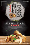美食海报