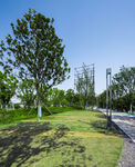城市公园