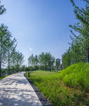 城市公园