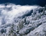 林海雪景