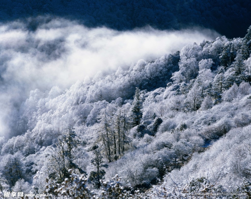 林海雪景