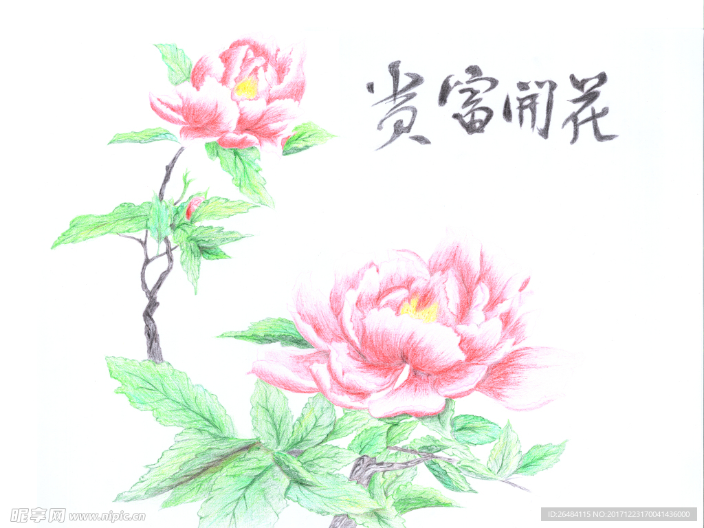 花开富贵