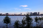 德胜河水杉凌波