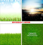 草地