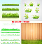 草地