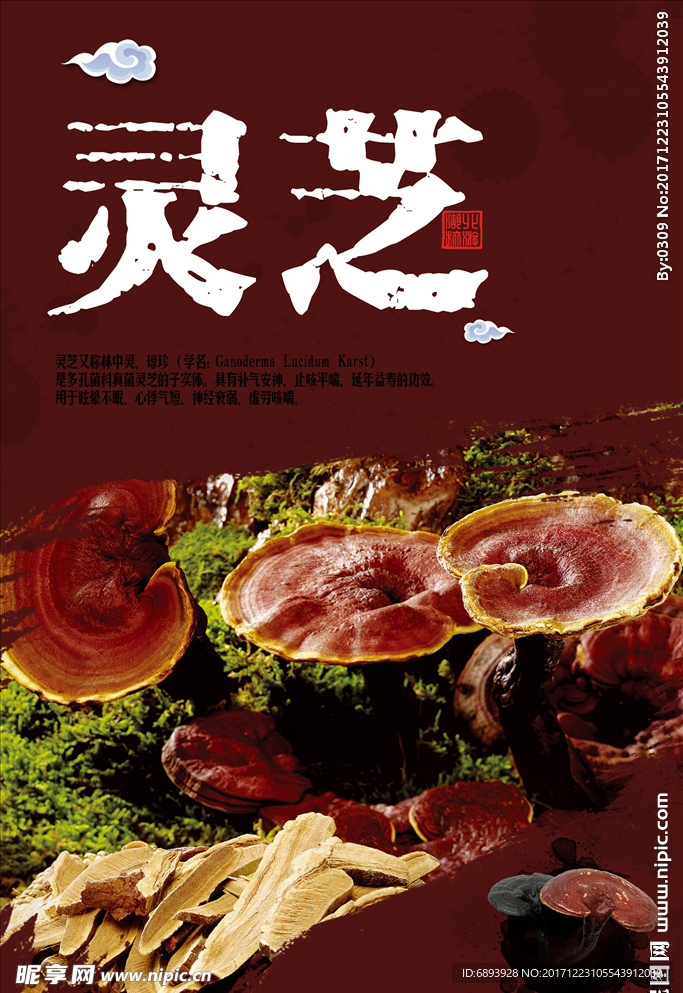 灵芝