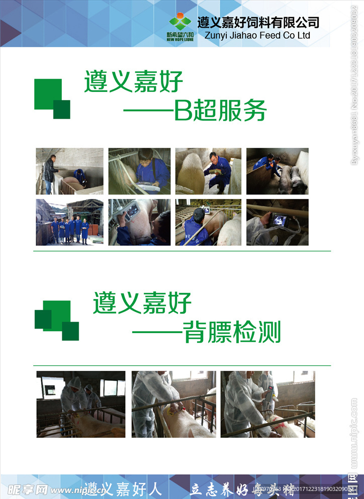 DM单页设计