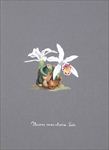 手绘兰花 植物图鉴 十字绣