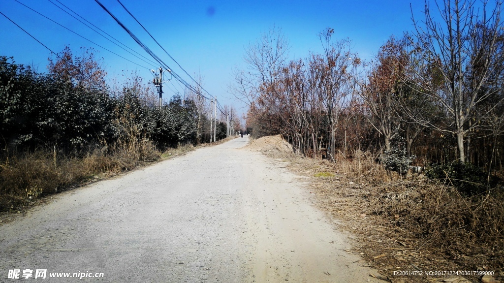 乡村道路风景