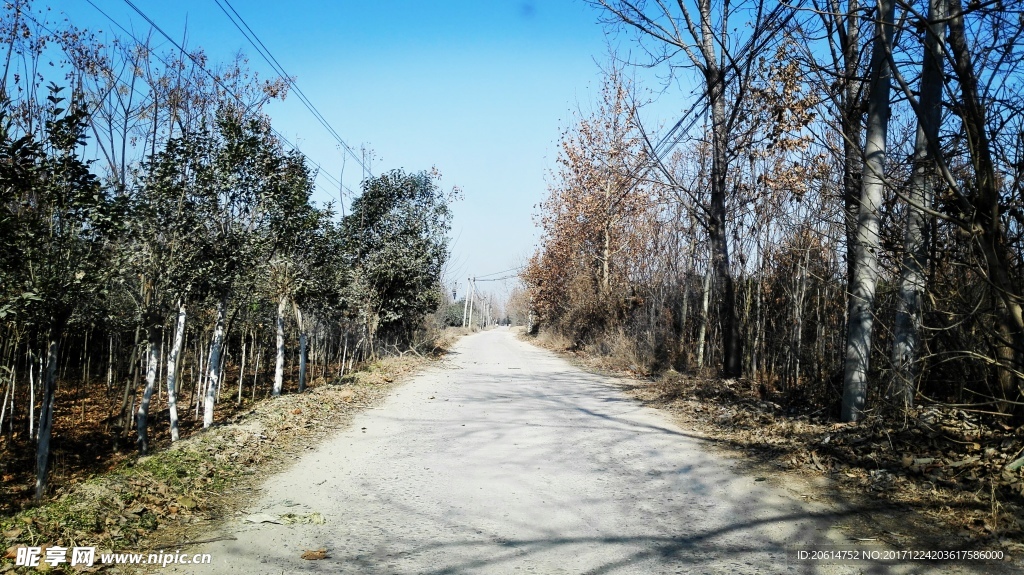 乡村道路风景