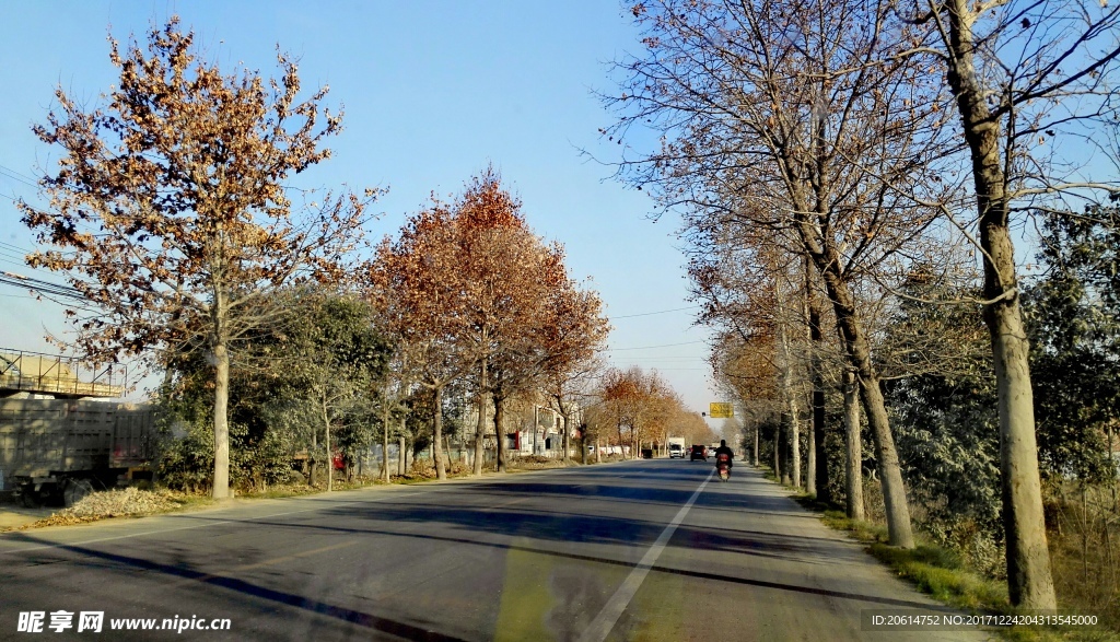 乡村道路风景